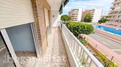 Piso – Torrevieja, Urbanización Punta Prima - Vista 4