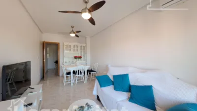 Pis – Santa Pola, el Baix Vinalopó - Vista 4