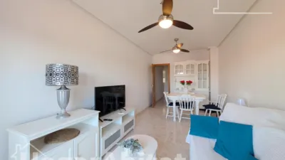 Pis – Santa Pola, el Baix Vinalopó - Vista 2