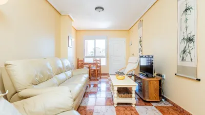 Pis – Orihuela, Villa Martín - Vista 5