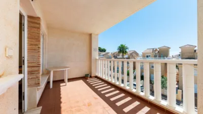 Pis – Orihuela, Villa Martín - Vista 4