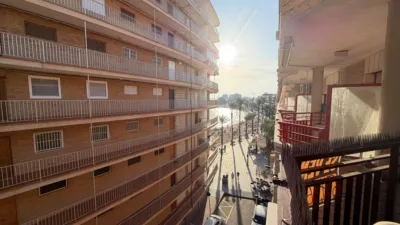 Pis – Torrevieja - Vista 3