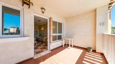 Pis – Orihuela, Villa Martín - Vista 2