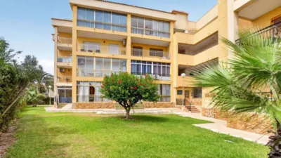 Pis – Torrevieja - Vista 3