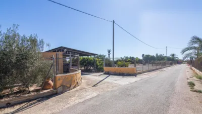 Casa – Elx - Elche - Vista 5
