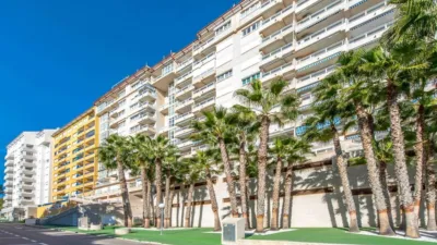 Pis – Orihuela - Vista 2