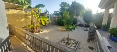 Casa – Elx - Elche - Vista 4