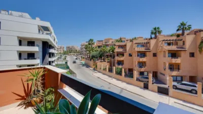 Pis – Orihuela - Vista 3