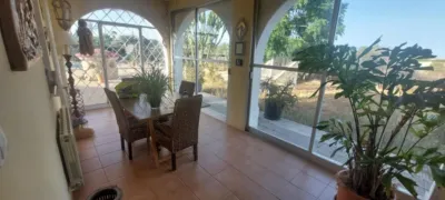 Casa – Elx - Elche - Vista 3