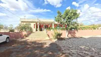 Casa – Elx - Elche - Vista 3
