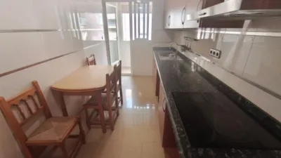 Pis – Elche/Elx, el Canal, el Baix Vinalopó - Vista 2