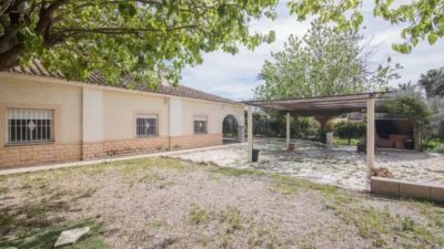 House in Elx - Elche - View 2