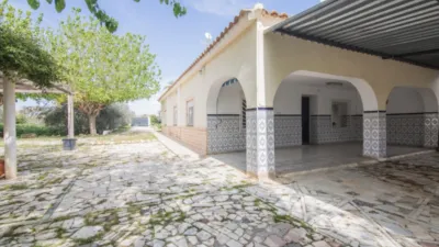 House in Elx - Elche - View 4