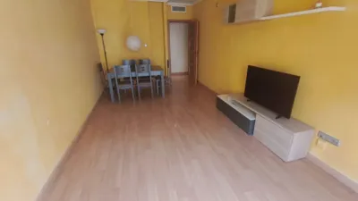 Pis – Elche/Elx, el Canal, el Baix Vinalopó - Vista 5