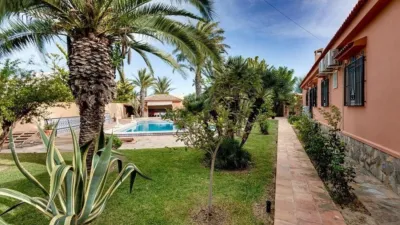 House in Torrevieja - More