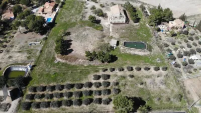 Rustic finca in Leiva photo 21