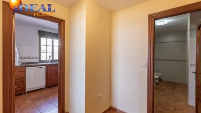 House on Calle de Miramar photo 12