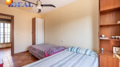 House on Calle de Miramar photo 24