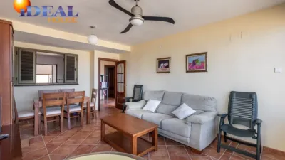 House on Calle de Miramar photo 7