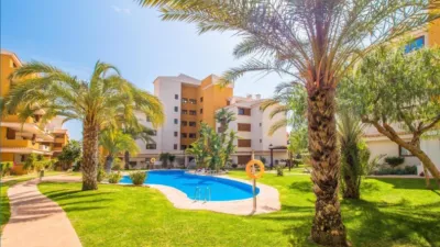 Pis – Torrevieja - Vista 3