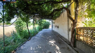House in Pedro Ruiz photo 3