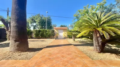Casa – Torrevieja - Vista 4