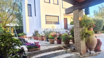 Piso – Orihuela, Josefina Manresa - Vista 2