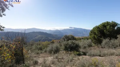 Rustic Finca in Pitres photo 21
