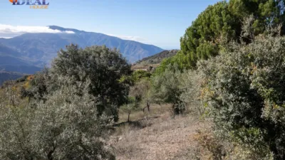 Rustic Finca in Pitres photo 23