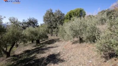 Rustic Finca in Pitres photo 24