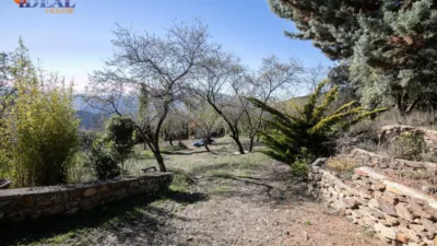 Rustic Finca in Pitres photo 25