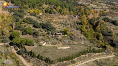 Rustic Finca in Pitres photo 38