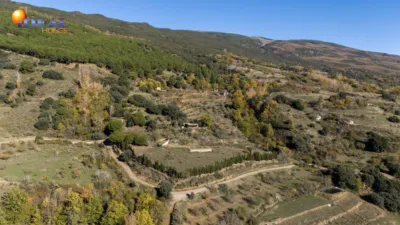Rustic Finca in Pitres photo 39