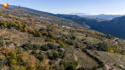 Rustic Finca in Pitres photo 43