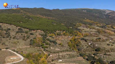 Rustic Finca in Pitres photo 45