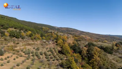 Rustic Finca in Pitres photo 47