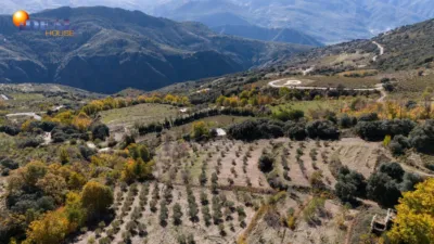 Rustic Finca in Pitres photo 48
