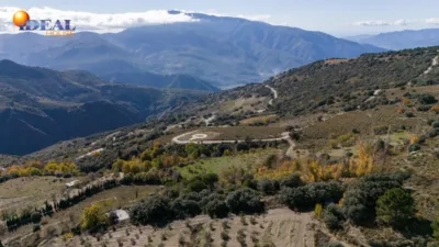 Rustic Finca in Pitres photo 49