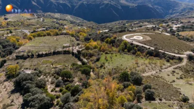 Rustic Finca in Pitres photo 50