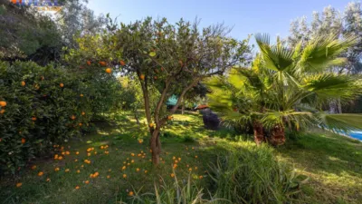 Chalet in South of Spain photo 48