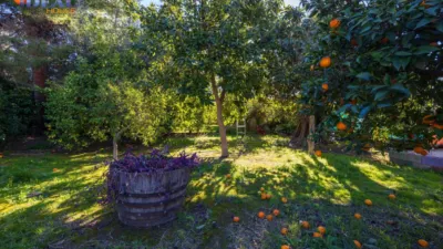 Chalet in South of Spain photo 55