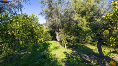 Chalet in South of Spain photo 57