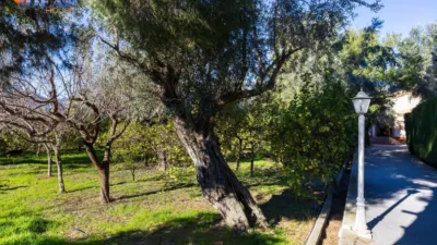Chalet in South of Spain photo 59