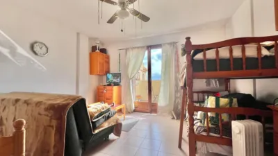 Estudio en Nueva Torrevieja photo 11