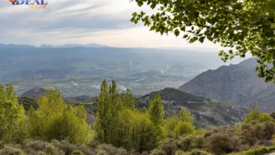 Rustic Finca on Camino de la Sierra photo 40