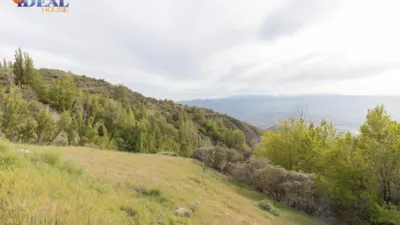 Rustic Finca on Camino de la Sierra photo 42