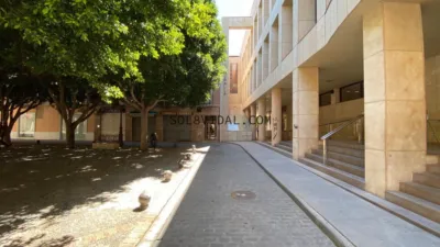 Pis – Orihuela - Vista 5
