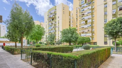 Apartment in La Salle-Avd Manuel del Valle-Las Naciones photo 24