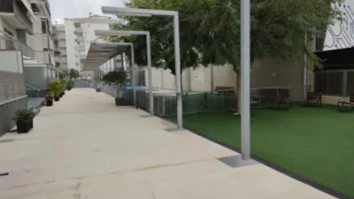 Piso en Altabix - Ciudad Deportiva photo 9