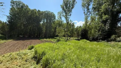 Rustic finca on Calle Lg Porto photo 11